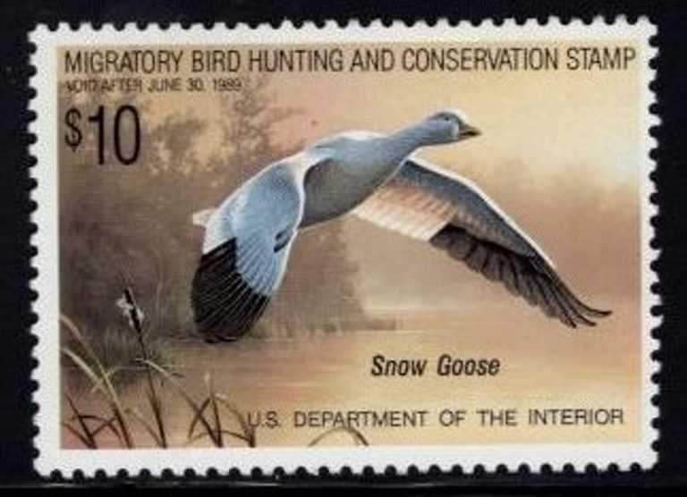 RW-55 Federal Duck Stamp Mint NH OG Face $10.00